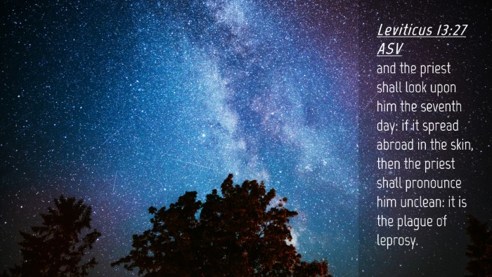 Picture 04 - Leviticus 13:27 ASV Desktop Wallpaper - and the priest shall look upon him the seventh - Desktop Bible Verse Wallpaper