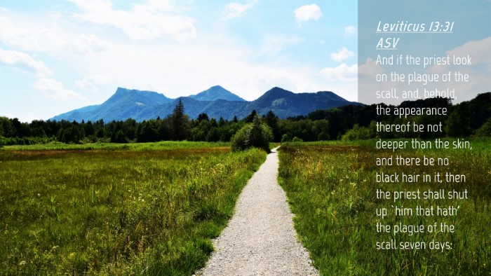 Picture 04 - Leviticus 13:31 ASV Desktop Wallpaper - And if the priest look on the plague of the - Desktop Bible Verse Wallpaper