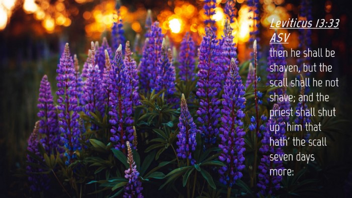 Picture 04 - Leviticus 13:33 ASV Desktop Wallpaper - then he shall be shaven, but the scall shall he - Desktop Bible Verse Wallpaper
