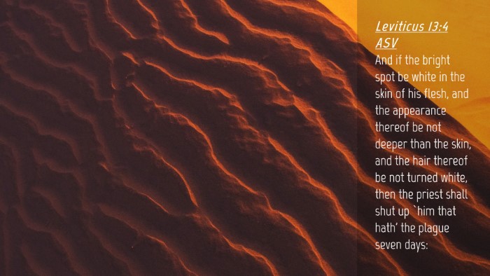 Picture 04 - Leviticus 13:4 ASV Desktop Wallpaper - And if the bright spot be white in the skin of - Desktop Bible Verse Wallpaper