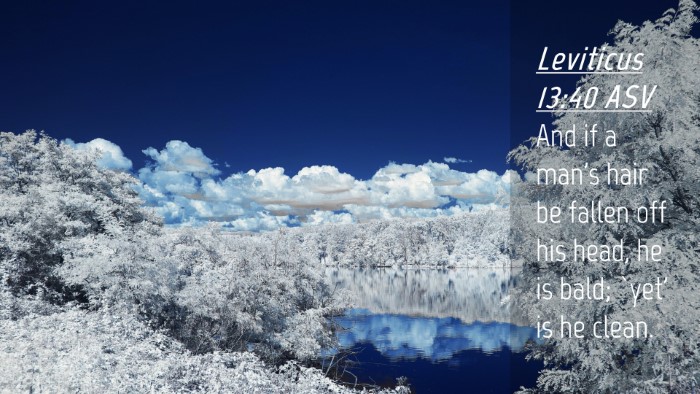 Picture 04 - Leviticus 13:40 ASV Desktop Wallpaper - And if a man's hair be fallen off his head, he is - Desktop Bible Verse Wallpaper