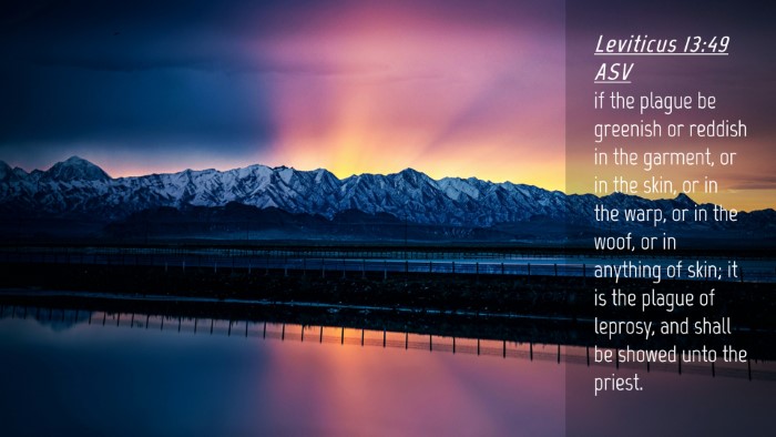 Picture 04 - Leviticus 13:49 ASV Desktop Wallpaper - if the plague be greenish or reddish in the - Desktop Bible Verse Wallpaper