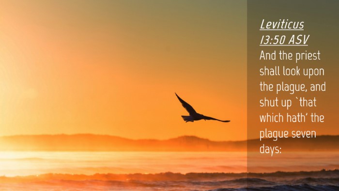 Picture 04 - Leviticus 13:50 ASV Desktop Wallpaper - And the priest shall look upon the plague, and - Desktop Bible Verse Wallpaper