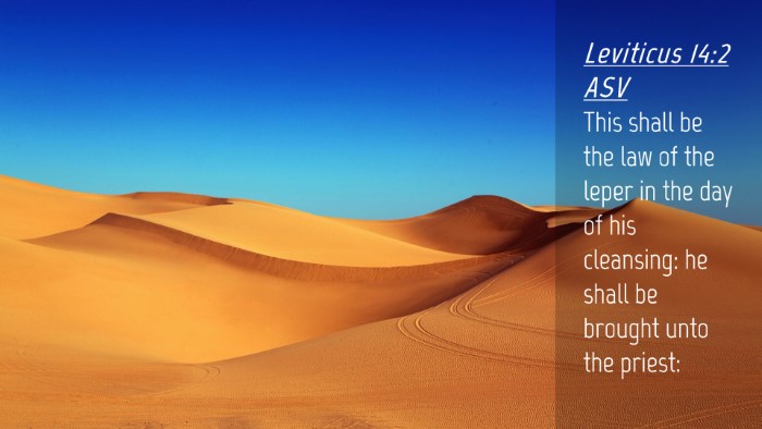 Picture 04 - Leviticus 14:2 ASV Desktop Wallpaper - This shall be the law of the leper in the day of - Desktop Bible Verse Wallpaper