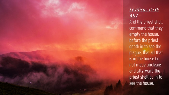 Picture 04 - Leviticus 14:36 ASV Desktop Wallpaper - And the priest shall command that they empty the - Desktop Bible Verse Wallpaper