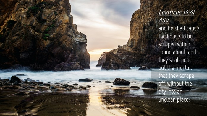 Picture 04 - Leviticus 14:41 ASV Desktop Wallpaper - and he shall cause the house to be scraped within - Desktop Bible Verse Wallpaper
