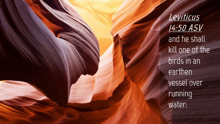 Picture 04 - Leviticus 14:50 ASV Desktop Wallpaper - and he shall kill one of the birds in an earthen - Desktop Bible Verse Wallpaper