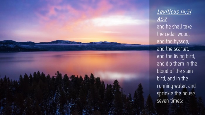Picture 04 - Leviticus 14:51 ASV Desktop Wallpaper - and he shall take the cedar wood, and the hyssop, - Desktop Bible Verse Wallpaper