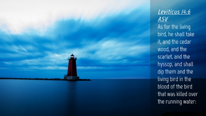 Picture 04 - Leviticus 14:6 ASV Desktop Wallpaper - As for the living bird, he shall take it, and the - Desktop Bible Verse Wallpaper