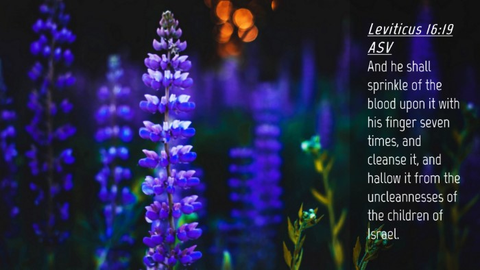 Picture 04 - Leviticus 16:19 ASV Desktop Wallpaper - And he shall sprinkle of the blood upon it with - Desktop Bible Verse Wallpaper