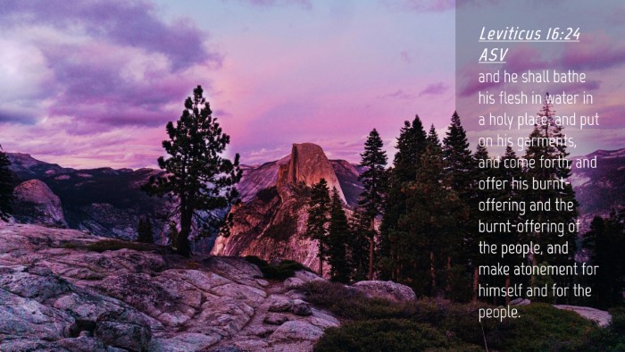 Picture 04 - Leviticus 16:24 ASV Desktop Wallpaper - and he shall bathe his flesh in water in a holy - Desktop Bible Verse Wallpaper