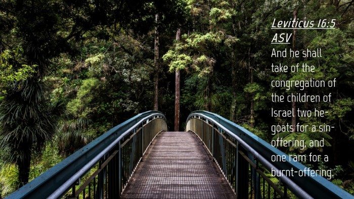 Picture 04 - Leviticus 16:5 ASV Desktop Wallpaper - And he shall take of the congregation of the - Desktop Bible Verse Wallpaper