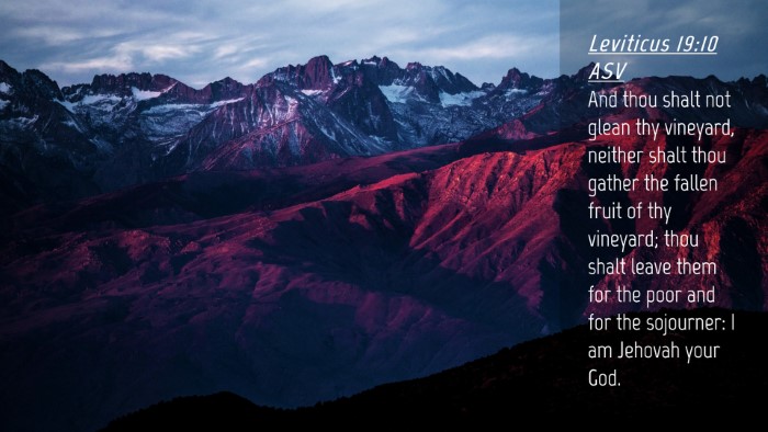 Picture 04 - Leviticus 19:10 ASV Desktop Wallpaper - And thou shalt not glean thy vineyard, neither - Desktop Bible Verse Wallpaper