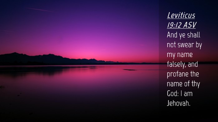 Picture 04 - Leviticus 19:12 ASV Desktop Wallpaper - And ye shall not swear by my name falsely, and - Desktop Bible Verse Wallpaper