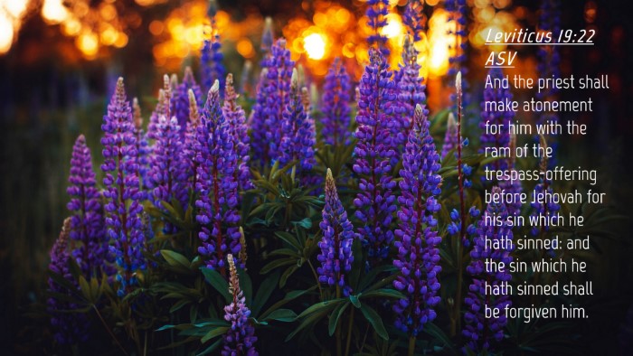 Picture 04 - Leviticus 19:22 ASV Desktop Wallpaper - And the priest shall make atonement for him with - Desktop Bible Verse Wallpaper