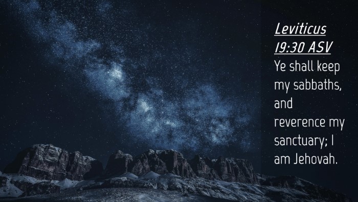 Picture 04 - Leviticus 19:30 ASV Desktop Wallpaper - Ye shall keep my sabbaths, and reverence my - Desktop Bible Verse Wallpaper