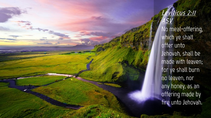 Picture 04 - Leviticus 2:11 ASV Desktop Wallpaper - No meal-offering, which ye shall offer unto - Desktop Bible Verse Wallpaper