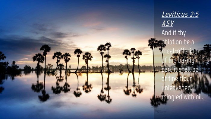 Picture 04 - Leviticus 2:5 ASV Desktop Wallpaper - And if thy oblation be a meal-offering of the - Desktop Bible Verse Wallpaper