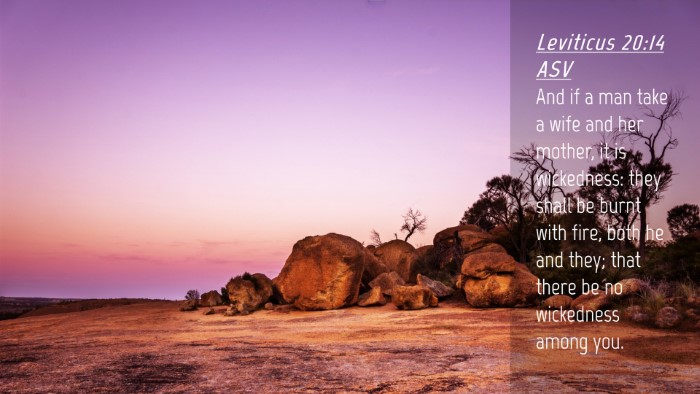 Picture 04 - Leviticus 20:14 ASV Desktop Wallpaper - And if a man take a wife and her mother, it is - Desktop Bible Verse Wallpaper