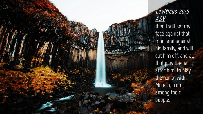 Picture 04 - Leviticus 20:5 ASV Desktop Wallpaper - then I will set my face against that man, and - Desktop Bible Verse Wallpaper