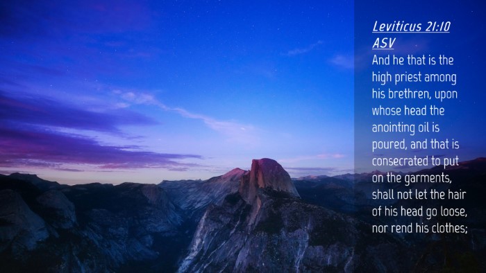 Picture 04 - Leviticus 21:10 ASV Desktop Wallpaper - And he that is the high priest among his - Desktop Bible Verse Wallpaper