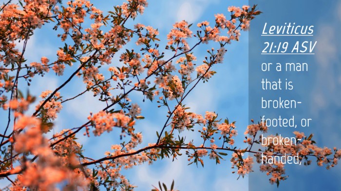 Picture 04 - Leviticus 21:19 ASV Desktop Wallpaper - or a man that is broken-footed, or - Desktop Bible Verse Wallpaper