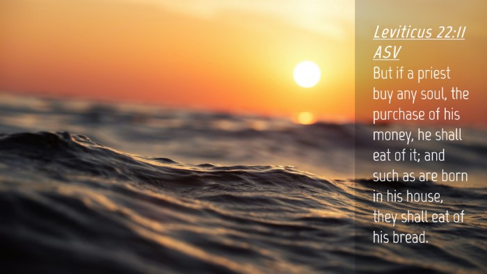 Picture 04 - Leviticus 22:11 ASV Desktop Wallpaper - But if a priest buy any soul, the purchase of his - Desktop Bible Verse Wallpaper