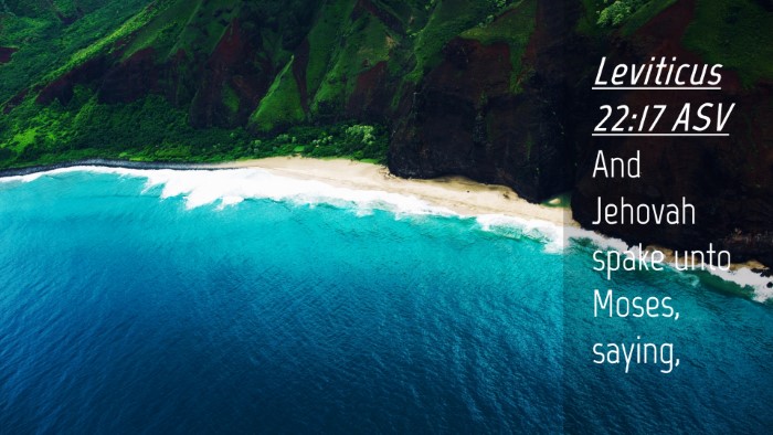 Picture 04 - Leviticus 22:17 ASV Desktop Wallpaper - And Jehovah spake unto Moses, - Desktop Bible Verse Wallpaper