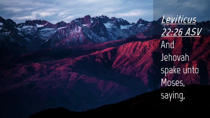 Picture 04 - Leviticus 22:26 ASV Desktop Wallpaper - And Jehovah spake unto Moses, - Desktop Bible Verse Wallpaper