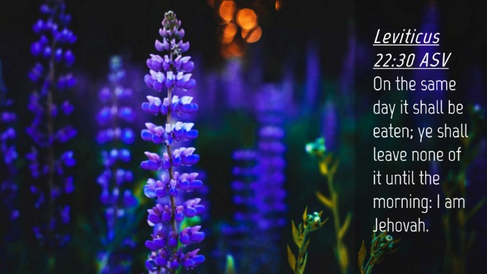 Picture 04 - Leviticus 22:30 ASV Desktop Wallpaper - On the same day it shall be eaten; ye shall leave - Desktop Bible Verse Wallpaper