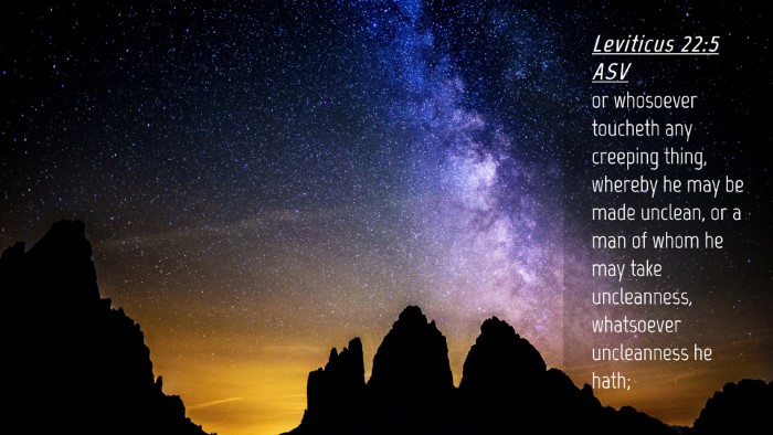 Picture 04 - Leviticus 22:5 ASV Desktop Wallpaper - or whosoever toucheth any creeping thing, whereby - Desktop Bible Verse Wallpaper