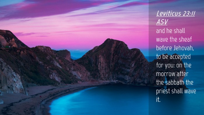 Picture 04 - Leviticus 23:11 ASV Desktop Wallpaper - and he shall wave the sheaf before Jehovah, to be - Desktop Bible Verse Wallpaper