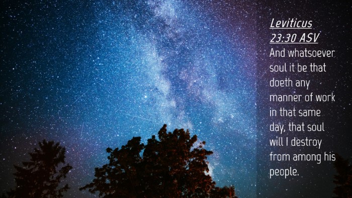 Picture 04 - Leviticus 23:30 ASV Desktop Wallpaper - And whatsoever soul it be that doeth any manner - Desktop Bible Verse Wallpaper