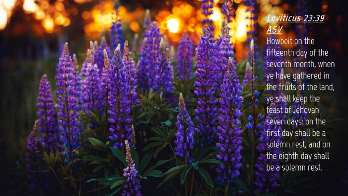 Picture 04 - Leviticus 23:39 ASV Desktop Wallpaper - Howbeit on the fifteenth day of the seventh - Desktop Bible Verse Wallpaper