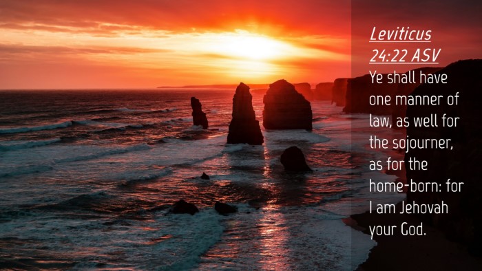 Picture 04 - Leviticus 24:22 ASV Desktop Wallpaper - Ye shall have one manner of law, as well for the - Desktop Bible Verse Wallpaper