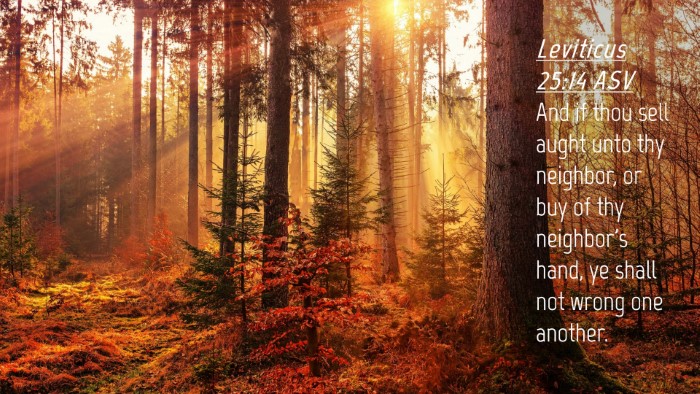 Picture 04 - Leviticus 25:14 ASV Desktop Wallpaper - And if thou sell aught unto thy neighbor, or buy - Desktop Bible Verse Wallpaper