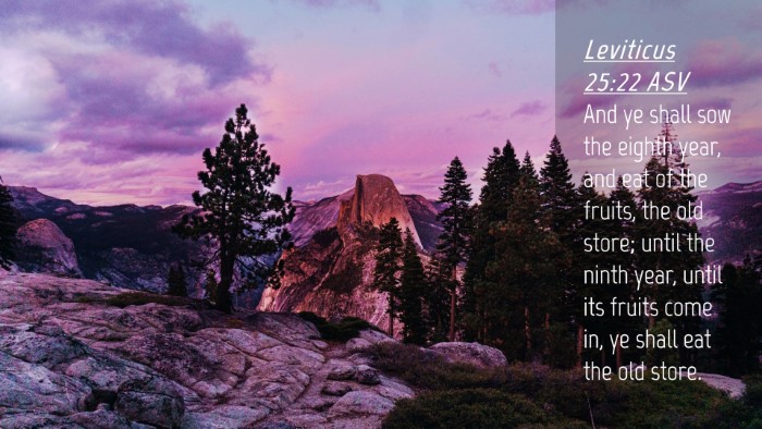 Picture 04 - Leviticus 25:22 ASV Desktop Wallpaper - And ye shall sow the eighth year, and eat of the - Desktop Bible Verse Wallpaper