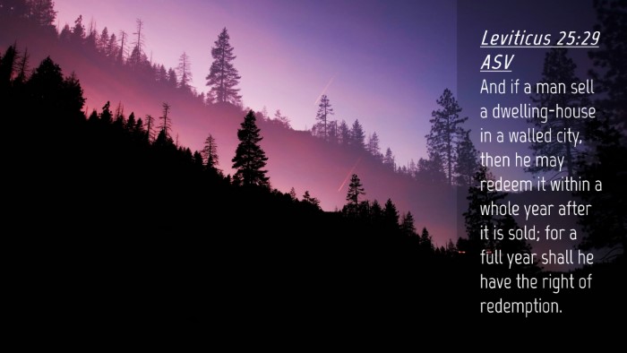 Picture 04 - Leviticus 25:29 ASV Desktop Wallpaper - And if a man sell a dwelling-house in a walled - Desktop Bible Verse Wallpaper