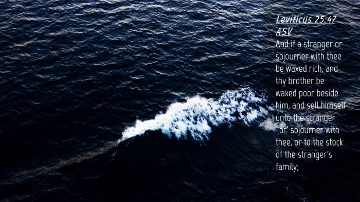 Picture 04 - Leviticus 25:47 ASV Desktop Wallpaper - And if a stranger or sojourner with thee be waxed - Desktop Bible Verse Wallpaper