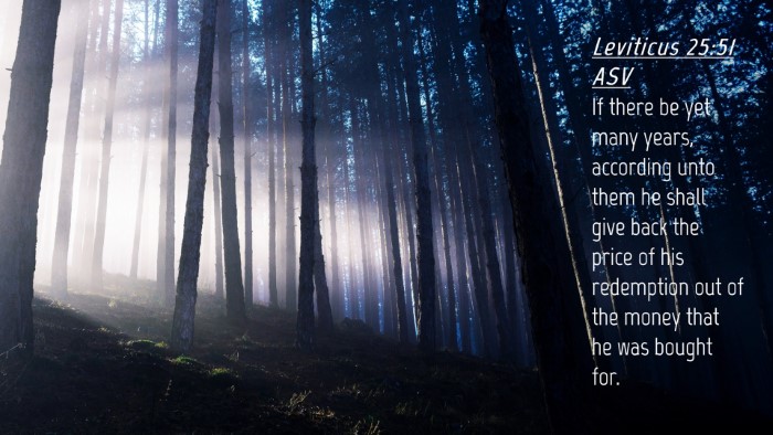 Picture 04 - Leviticus 25:51 ASV Desktop Wallpaper - If there be yet many years, according unto them - Desktop Bible Verse Wallpaper