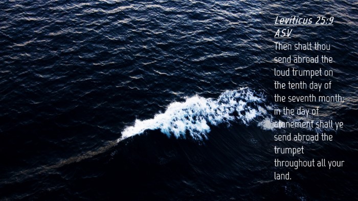 Picture 04 - Leviticus 25:9 ASV Desktop Wallpaper - Then shalt thou send abroad the loud trumpet on - Desktop Bible Verse Wallpaper