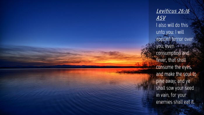 Picture 04 - Leviticus 26:16 ASV Desktop Wallpaper - I also will do this unto you: I will appoint - Desktop Bible Verse Wallpaper