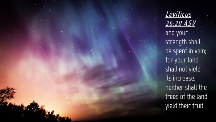Picture 04 - Leviticus 26:20 ASV Desktop Wallpaper - and your strength shall be spent in vain; for - Desktop Bible Verse Wallpaper