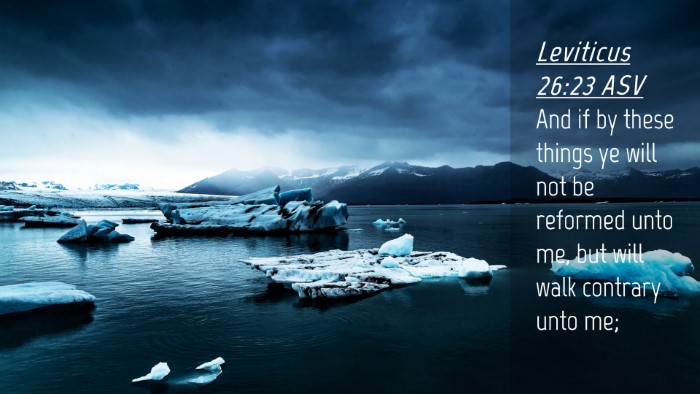 Picture 04 - Leviticus 26:23 ASV Desktop Wallpaper - And if by these things ye will not be reformed - Desktop Bible Verse Wallpaper