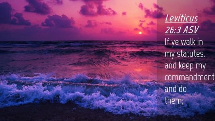 Picture 04 - Leviticus 26:3 ASV Desktop Wallpaper - If ye walk in my statutes, and keep my - Desktop Bible Verse Wallpaper
