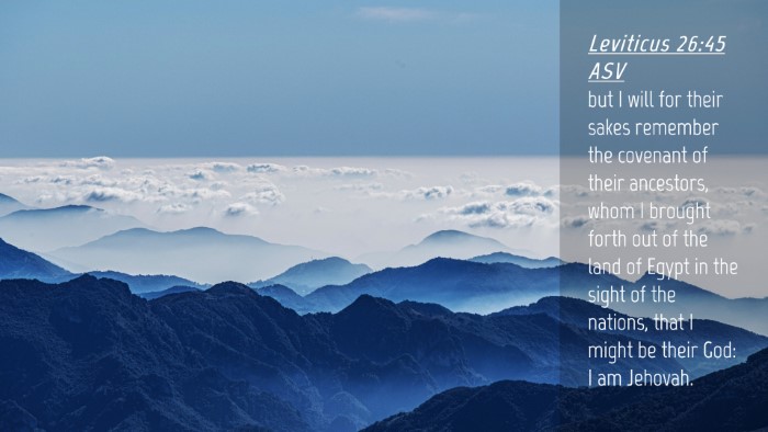 Picture 04 - Leviticus 26:45 ASV Desktop Wallpaper - but I will for their sakes remember the covenant - Desktop Bible Verse Wallpaper