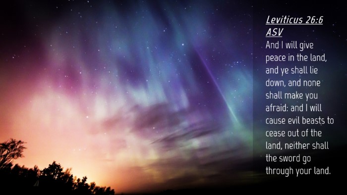 Picture 04 - Leviticus 26:6 ASV Desktop Wallpaper - And I will give peace in the land, and ye shall - Desktop Bible Verse Wallpaper