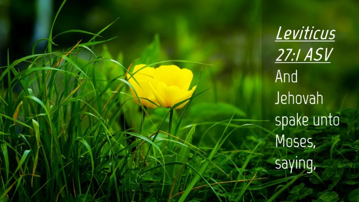 Picture 04 - Leviticus 27:1 ASV Desktop Wallpaper - And Jehovah spake unto Moses, - Desktop Bible Verse Wallpaper