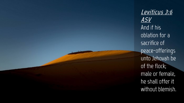 Picture 04 - Leviticus 3:6 ASV Desktop Wallpaper - And if his oblation for a sacrifice of - Desktop Bible Verse Wallpaper