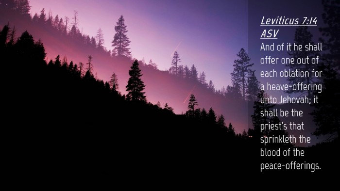 Picture 04 - Leviticus 7:14 ASV Desktop Wallpaper - And of it he shall offer one out of each oblation - Desktop Bible Verse Wallpaper